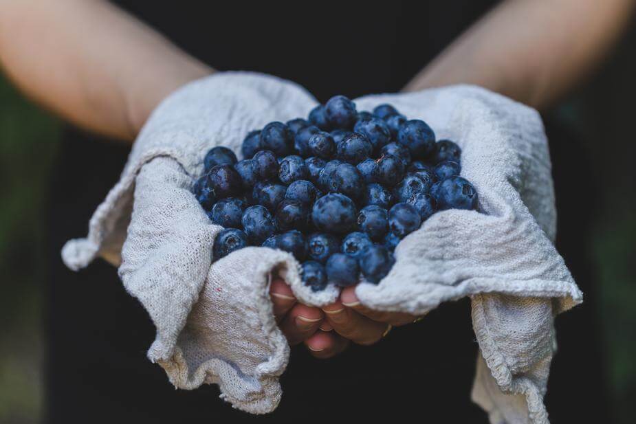 benefits of blueberries